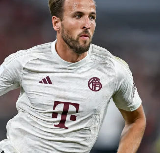 正是太阳在 正是太阳在