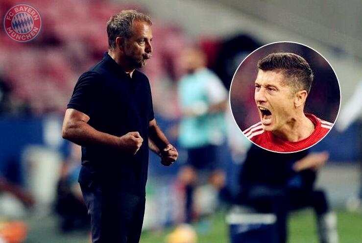 森林狼队在 森林狼队在